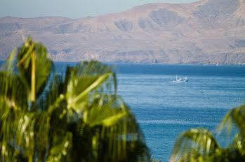 Parque Tropical En Lanzarote